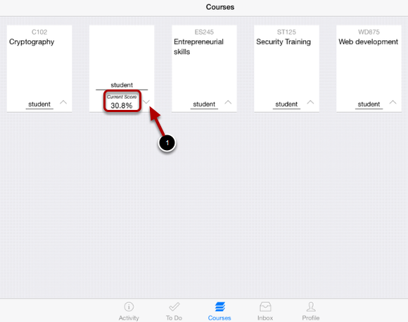 View your Course's Current Score